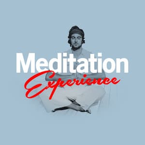 Meditation Experience - Meditation: Tibetan Meditation Experience