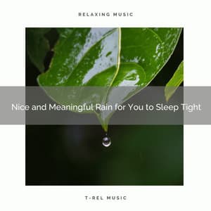 2020 Best: Nice and Meaningful Rain for You to Sleep Tight - Rain Storm Sounds
