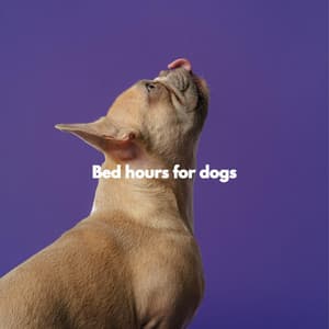 Bed hours for dogs - Relajado Musica Relajante para Perros