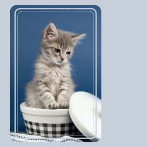 Trumpet Jazz - Music for Sleeping Kittens - Calm Cat Music