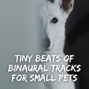 Tiny Beats of Binaural Tracks for Small Pets - Binaural Beats MT