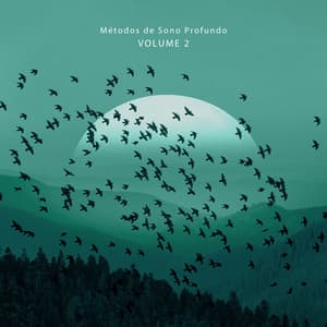 Métodos de Sono Profundo: Volume 2, Música Ambiente, Hipnose de Sono Profundo, Música de Yoga Pilates, Música de Fundo para Relaxamento, Meditação para Relaxamento, Música Espiritual - Hipnose Natureza Sons Coleção