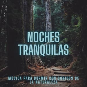 Noches Tranquilas: Música Para Dormir Con Sonidos De La Naturaleza - Naturaleza de Suecia