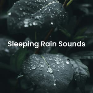 Sleeping Rain Sounds - Nature Tribe