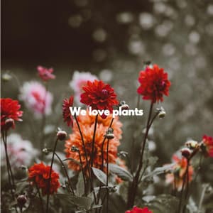 We love plants - Musica per Cucinare