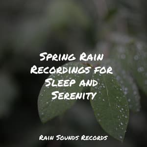 Spring Rain Recordings for Sleep and Serenity - Musica Para Estudiar Academy