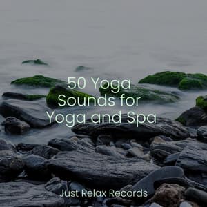 50 Yoga Sounds for Yoga and Spa - Lounge relax