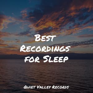Best Recordings for Sleep - Restaurant Background Music