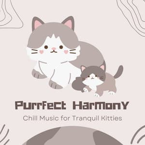 Purrfect Harmony: Chill Music for Tranquil Kitties - Musiqueen