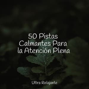 50 Pistas Calmantes Para la Atención Plena - Dormir