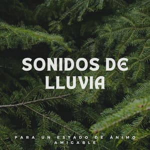 Sonidos De Lluvia Para Un Estado De Ánimo Amigable - Grabadora Lluvia