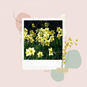 Caring - New Orleans Jazz Radio