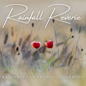 Rainfall Reverie: Ambient Meditations - Rainfall