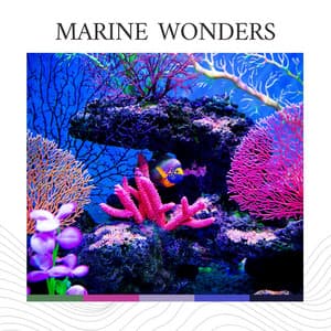 Marine Wonders - Sleep Tight
