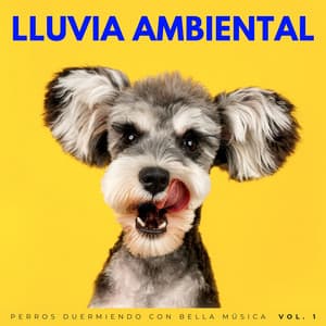 Lluvia Ambiental: Perros Duermiendo Con Bella Música Vol. 1 - Sonidos de lluvia ACE