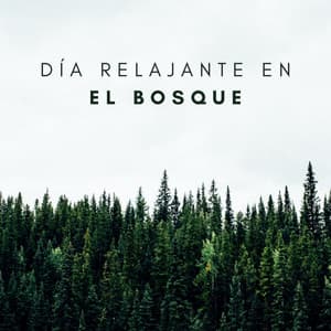 Día Relajante En El Bosque - Masaje Relajante Masters