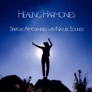 Healing Harmonies: Spiritual Atmospheres with Nature Sounds - Meditation Area