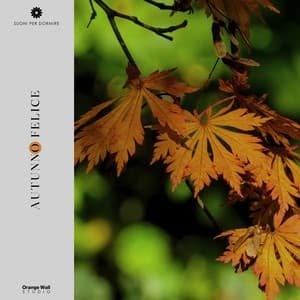 Autunno Felice - Suoni per Dormire