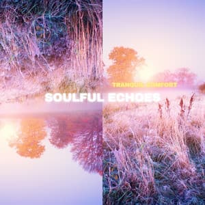 Soulful Echoes: 432 Hz Deep Relaxation - Tranquil Comfort