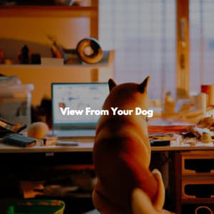 View From Your Dog - Elevator Music All-Stars