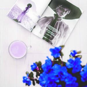 Music for Private Daydreams - Bossa Guitar Trio - Morgenmusik