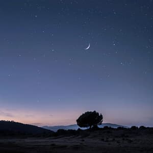 Descanso Apaciguador: Música De Relajación Para Noches Pacíficas - Lista de reproducción para relajarse por la noche