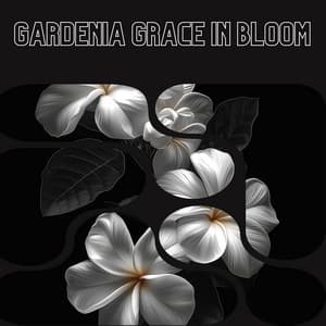 Gardenia Grace in Bloom - Floral Health - HerBaLance
