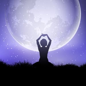 Moonlight: Musica Zen rilassante con suoni della natura per meditazione, spa, sonno e relax - Rilassamento Musica Zona