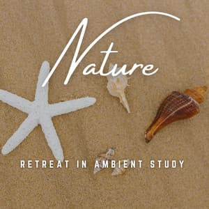 Study Symphony: Peaceful Productivity - Relaxing Study Music Retro