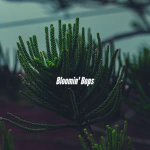 Bloomin' Bops - Lounge Smooth Jazz Deluxe