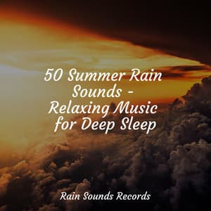 50 Summer Rain Sounds - Relaxing Music for Deep Sleep - Nature Sound Collection
