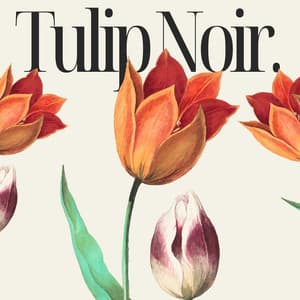 Tulip Noir: Love in Soft Tones, Sweet Lovers - Dr. LoveSax