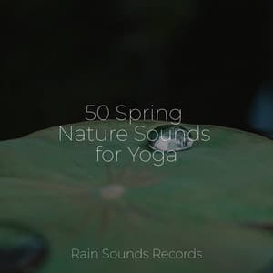 50 Spring Nature Sounds for Yoga - Sleepy Night Music