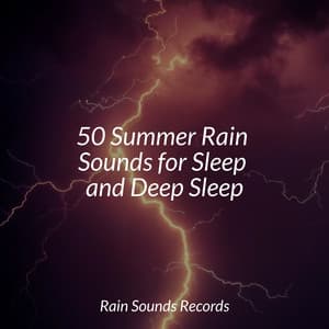 50 Summer Rain Sounds for Sleep and Deep Sleep - Natural Sounds