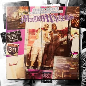 Muddy Waters - Microwave Rollie