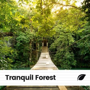 Tranquil Forest - Nature & Sounds Backgrounds