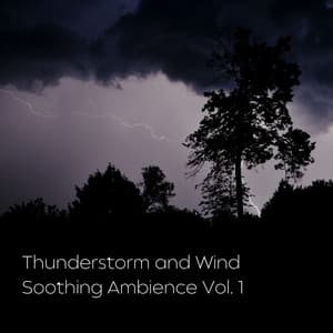 Thunderstorm and Wind Soothing Ambience Vol. 1 - Soothing Music