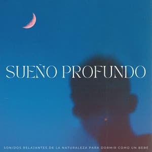 Sueño Profundo: Sonidos Relajantes De La Naturaleza Para Dormir Como Un Bebé - Canal Naturaleza sin parar