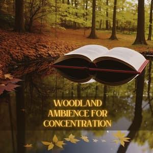 Woodland Ambience for Concentration: Peaceful Ambience for Rapid Reading and Memorization - Serena Wood
