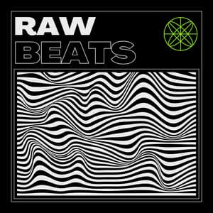 Raw Beats: Instrumental Type Rap Beats - Instrumental Hip Hop Beats Gang
