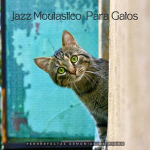 Perrrrfectas Armonías De Piano: Jazz Moutastico Para Gatos - Los jugadores del salón del piano