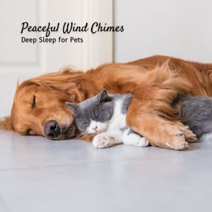 Peaceful Wind Chimes: Deep Sleep for Pets - Total ASMR