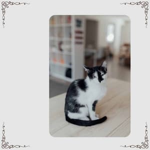 Luxurious Clarinet Solo - Background for Moody Kittens - Calm Cat Music