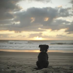 Armonía Del Océano: Melodías De Perros Binaurales - Hora de la Música del Perro