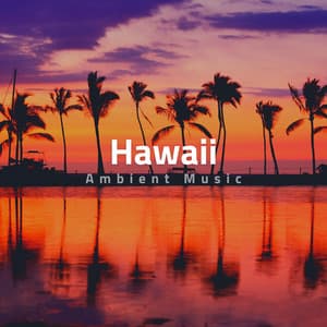 Hawaii Ambient Music - Chillermo