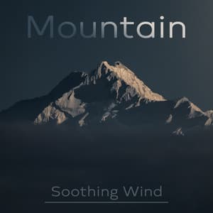 Mountain Soothing Wind: Meditation Practice, Deep Rest, Good Sleep - Relax Time Universe