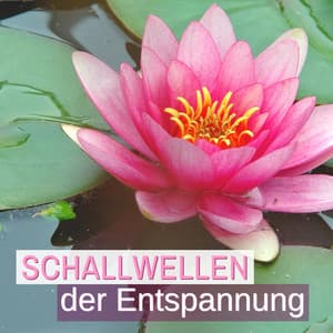 Schallwellen der Entspannung: Heilpraxis für Achtsamkeits- und Transzendentalmeditation - Erste Genesis