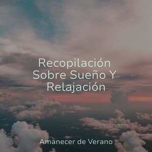 Recopilación Sobre Sueño Y Relajación - Relajacion Del Mar