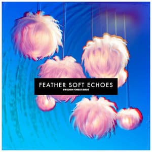 Feather Soft Echoes - Swedish Forest Birds