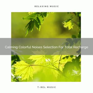Calming Colorful Noises Selection For Total Recharge - Brown Noise Therapy / Pure Deep Sleep White Noise